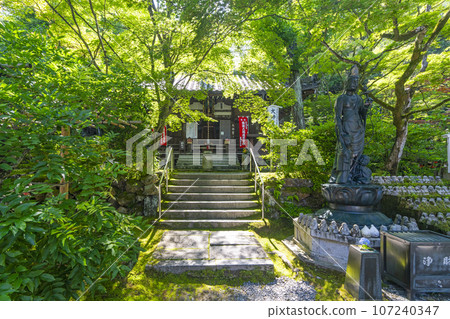京都現在 熊野觀音寺 大師堂 模糊觀音 新鮮的綠色季節 107240347