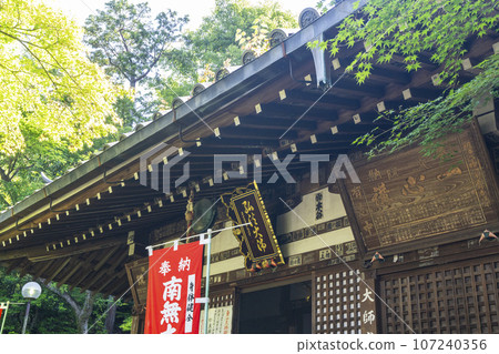 京都,現在的熊野觀音寺大師堂,新鮮的綠色季節 京都,現在的熊野觀音寺大師堂,新鮮的綠色季節 107240356