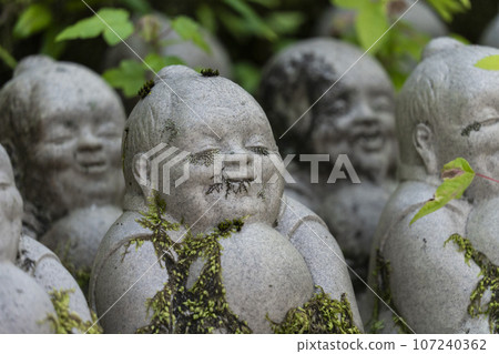 Kyoto Now Kumano Kannonji Jizo statue Fresh green season Kyoto Now Kumano Kannonji Jizo statue Fresh green season 107240362