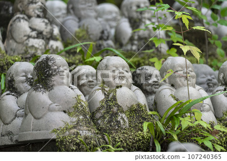 Kyoto Now Kumano Kannonji Jizo statue Fresh green season Kyoto Now Kumano Kannonji Jizo statue Fresh green season 107240365