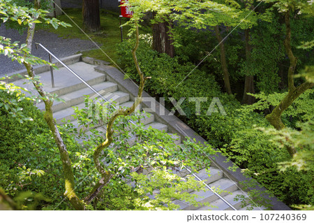 京都,熊野觀音寺,步道上的石階,新鮮的綠色季節 京都,熊野觀音寺,步道上的石階,新鮮的綠色季節 107240369
