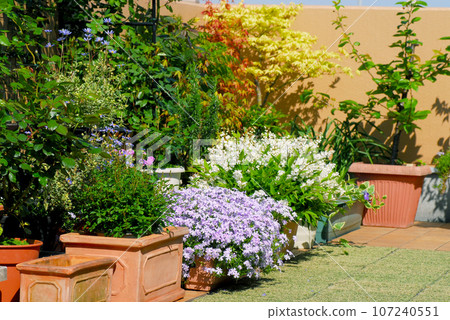 春天的園藝綠化和鮮花 春天的園藝綠化和鮮花 107240551