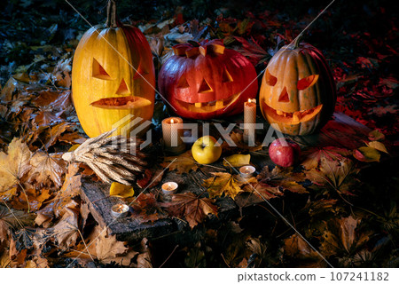 Halloween pumpkin with candle closeup in dark forest. Halloween festive background Halloween pumpkin with candle closeup in dark forest. Halloween festive background 107241182