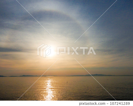 Osaka Bay circumzenith arc at dusk 107241289