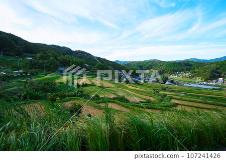 Rice terrace of Hase valley Rice terrace of Hase valley 107241426