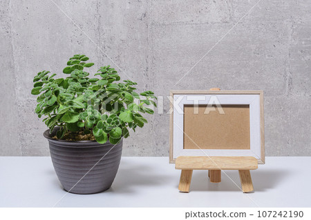 盆栽觀賞植物芳香相框 盆栽觀賞植物芳香相框 107242190