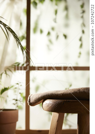 A window view of green leaves in the afternoon sunlight. 107242722