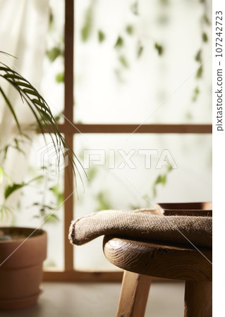 A window view of green leaves in the afternoon sunlight. 107242723