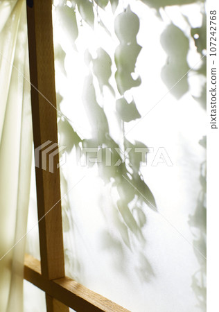 A window view of green leaves in the afternoon sunlight. A window view of green leaves in the afternoon sunlight. 107242768