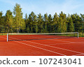 Empty tennis court in the park 107243041