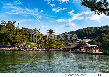【世界遺產嚴島神社】【安藝國一宮】元旦陽光明媚的廣島縣廿日市市，從西松原看到神社建築、千疊閣和五層寶塔 107243158