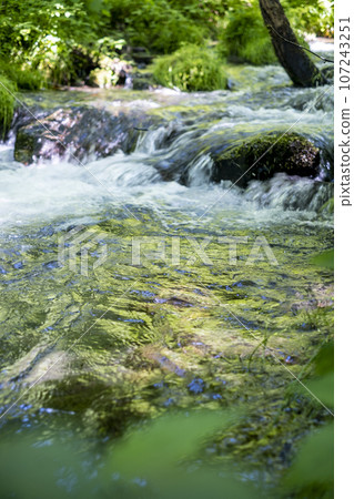 流淌在新綠中的清澈溪流（木澤溪） 107243251