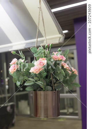 Artificial pink roses flowers in bucket hanging, selective focus 107243609