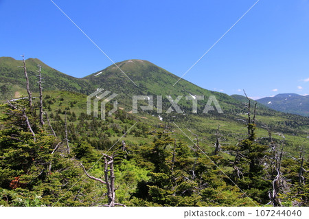 冬天的八甲田山變成霜原 107244040