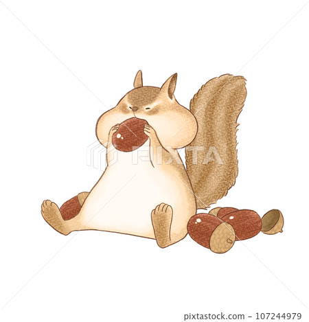 Squirrel and acorn chewing on an acorn Squirrel and acorn chewing on an acorn 107244979