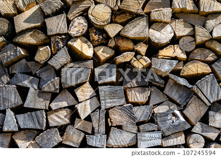 Photography on theme big wall of stacked oak tree logs in cracks 107245594