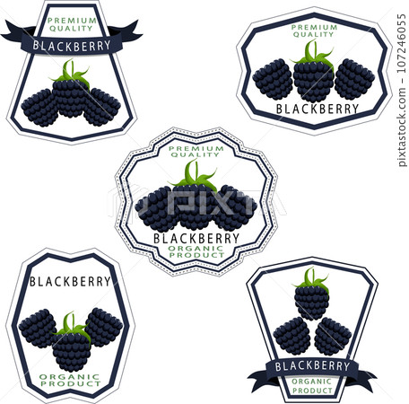 Sweet juicy tasty natural eco product blackberry Sweet juicy tasty natural eco product blackberry 107246055