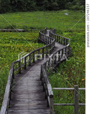 Takigashira Wetland in early autumn Takigashira Wetland in early autumn 107246157