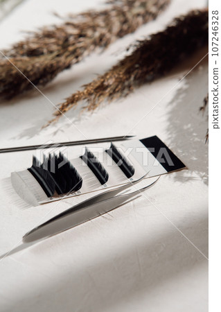 Makeup artist tools and accessories for eyelash extensions. Composition of set of eyelashes, tweezers and applicator. 107246328