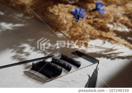 Composition of different length, shape, thickness of eyelashes for extension and meadow grasses on white background. 107246330
