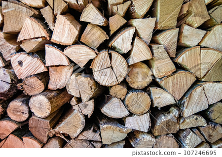 Photography on theme big wall of stacked oak tree logs in cracks 107246695