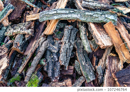 Photography on theme big wall of stacked oak tree logs in cracks 107246764