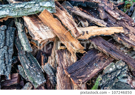 Photography on theme big wall of stacked oak tree logs in cracks Photography on theme big wall of stacked oak tree logs in cracks 107246850