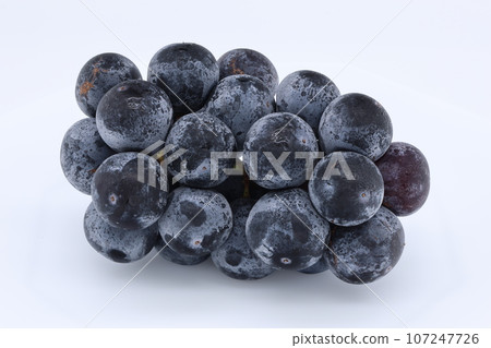 Large blue-purple grapes placed on a white background Large blue-purple grapes placed on a white background 107247726