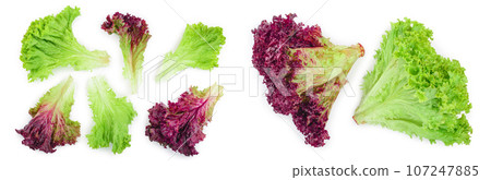 fresh red coral and green salad or lettuce isolated on the white background. Top view. Flat lay fresh red coral and green salad or lettuce isolated on the white background. Top view. Flat lay 107247885