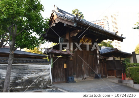 Hongyoji Temple at dusk in summer, Tokyo 107248230