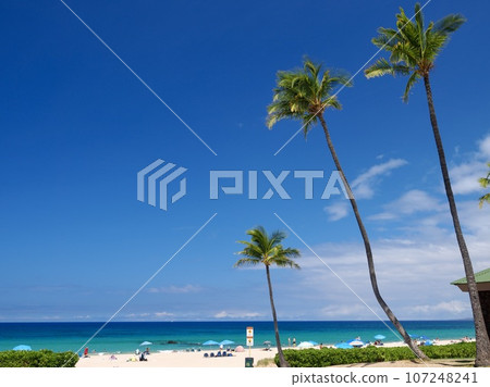 Hawaii Island Hapuna Beach 107248241