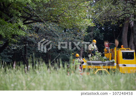 Civil Engineering Bureau workers repairing trees in the park in autumn Civil Engineering Bureau workers repairing trees in the park in autumn 107248458