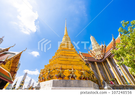 Bangkok, Wat Pho, flowering Buddha Buddha temple 107248556