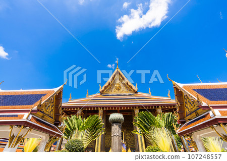 Bangkok, Wat Pho, flowering Buddha Buddha temple Bangkok, Wat Pho, flowering Buddha Buddha temple 107248557