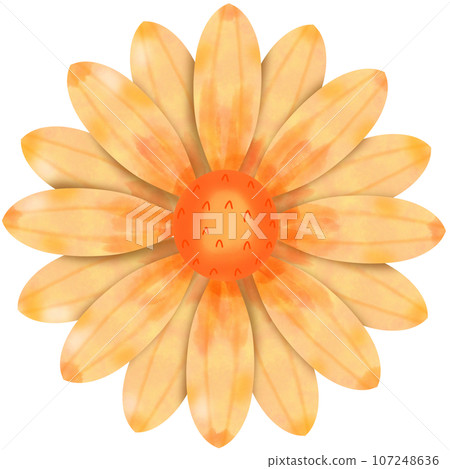 flower with sunflower 107248636