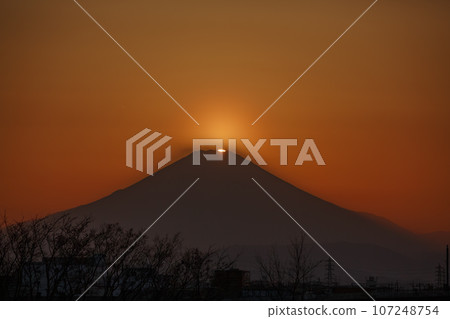 Shonan Galaxy Bridge and Diamond Fuji (Hiratsuka City, Kanagawa Prefecture) Shonan Galaxy Bridge and Diamond Fuji (Hiratsuka City, Kanagawa Prefecture) 107248754