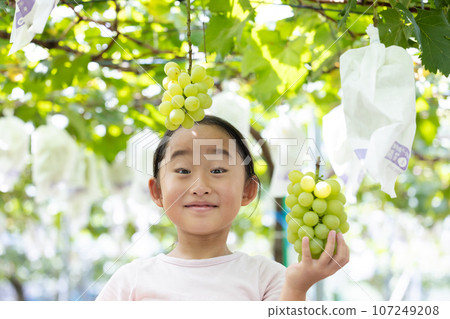 可愛的孩子喜歡採摘時令葡萄 可愛的孩子喜歡採摘時令葡萄 107249208