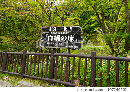 北湯澤溫泉 大更川/白木子（綠色凝灰岩） 107249562