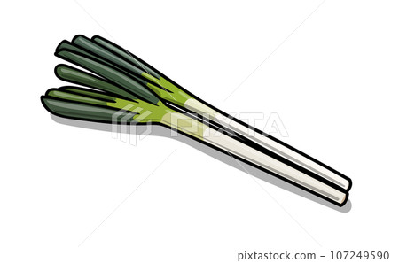 Illustration material of pop long onion Illustration material of pop long onion 107249590