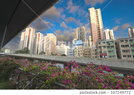 Sept 23 2023 Thriving Urban Hub in the Heart of Tsuen Wan, HK 107249772