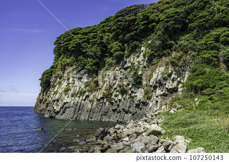 Tojinbo Columnar Joint Sakai City, Fukui Prefecture 107250143