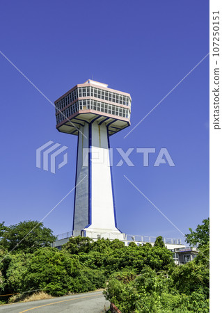東尋坊 東尋坊塔 福井縣堺市 107250151