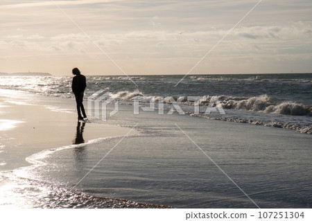 Solitary Wanderer at Cap-Blanc-Nez Beach, France Solitary Wanderer at Cap-Blanc-Nez Beach, France 107251304
