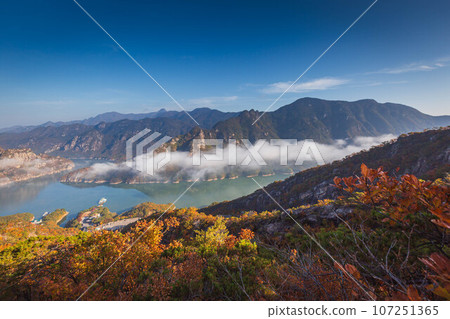 Autumn in Korea, Pine trees towering on the rocks atop Jebibong. In the morning, a sea of mist flows through the river in the valley In the autumn of Waraksan Mountain National Park, South Korea. Autumn in Korea, Pine trees towering on the rocks atop Jebibong. In the morning, a sea of mist flows through the river in the valley In the autumn of Waraksan Mountain National Park, South Korea. 107251365