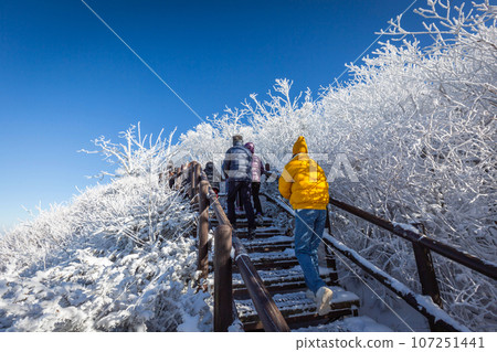 Korea Winter and Tourists atop Deogyusan Mountain at Deogyusan National Park near Muju, South Korea. 107251441