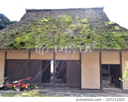 thatched roof barn 107251805