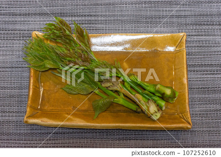 塔拉芽 塔拉芽 107252610