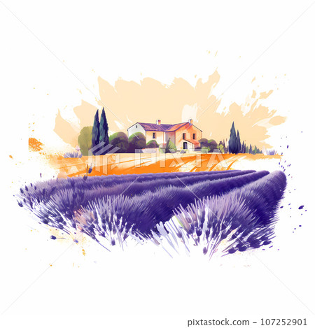 Illustration of beautiful blooming lavender fields in Provence, France 107252901