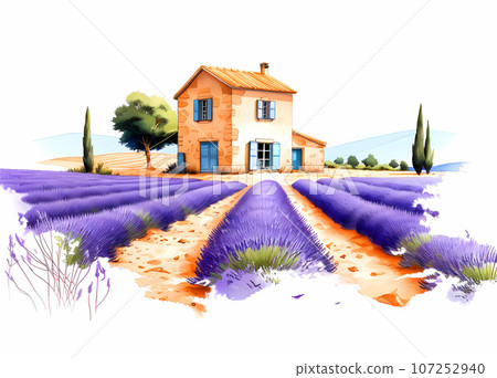 Illustration of beautiful blooming lavender fields in Provence, France 107252940