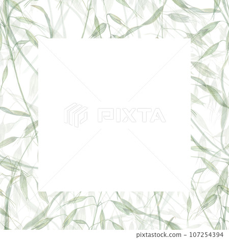 Delicate frame of wild oats. Meadow herbs, avena, spikelet, grass. Watercolor illustration of wild plants. Summer composition. For greeting, invitation template, celebration cards. Space for text Delicate frame of wild oats. Meadow herbs, avena, spikelet, grass. Watercolor illustration of wild plants. Summer composition. For greeting, invitation template, celebration cards. Space for text 107254394